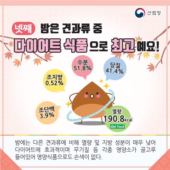 넷째 밤은 견과류 중 다이어트 식으로 최고예요! 조단백: 3.9% / 조지방: 0.52% / 수분: 51.8% / 당질: 41.4% , 열량: 190.8kcal diet food 밤에는 다른 견과류에 비해 열량 및 지방 성분이 매우 낮아 다이어트에 효과적이며 무기질 등 각종 영양소가 골고루 들어있어 영양식품으로도 손색이 없다.