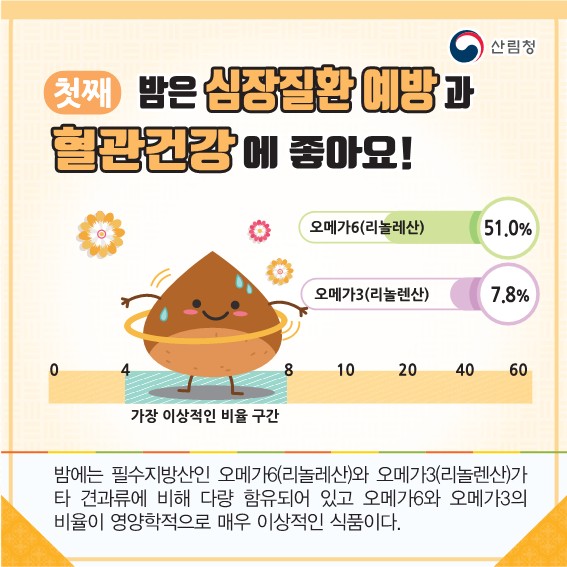 밤에는 필수지방산인 오메가6(리놀레산)와 오메가3(리놀렌산)가 타 견과류에 비해 다량 함유되어 있고 오메가6와 오메가3의 비율이 영양학적으로 매우 이상적인 식품이다.