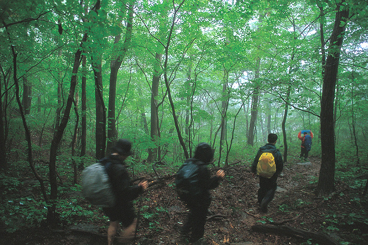 황악산_2.jpg