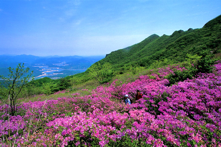 황매산_1.jpg