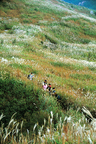 화왕산_2.jpg