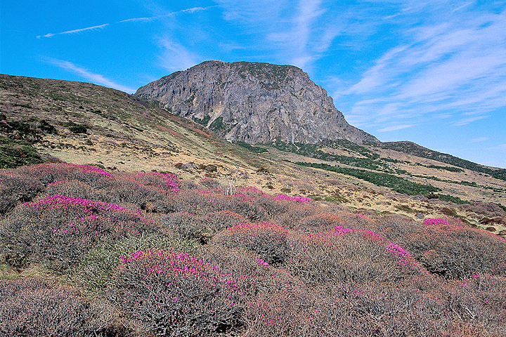 한라산_1.jpg