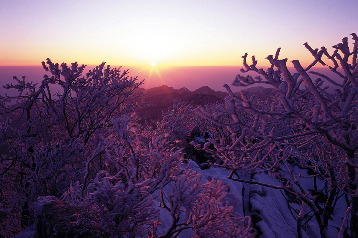 팔공산_3.jpg