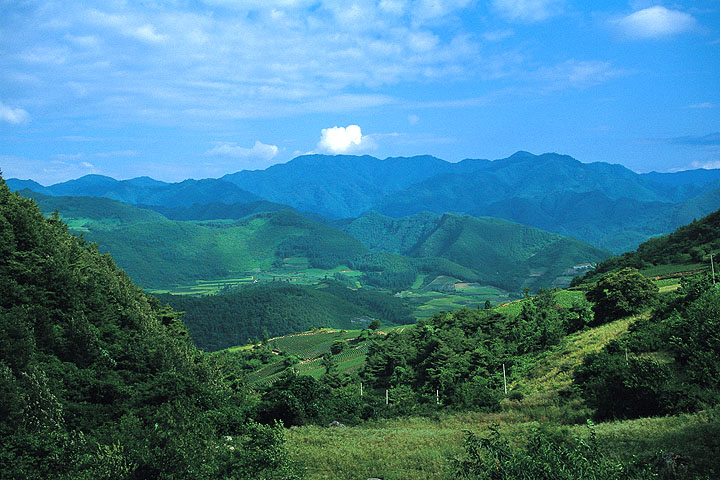 태화산_1.jpg