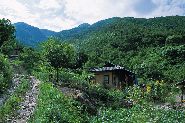 태화산_2.jpg