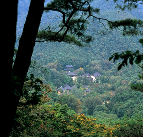 태화산_3.jpg