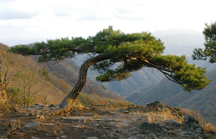 백암산_2.jpg