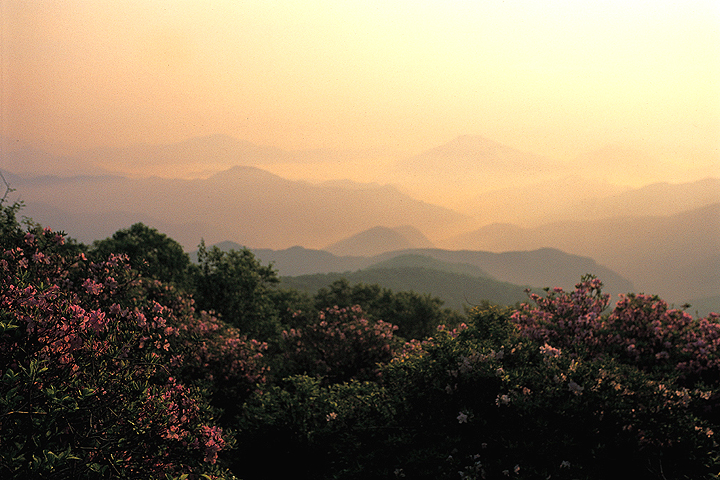 태백산_2.jpg