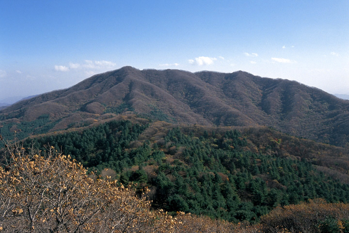 축령산_1.jpg
