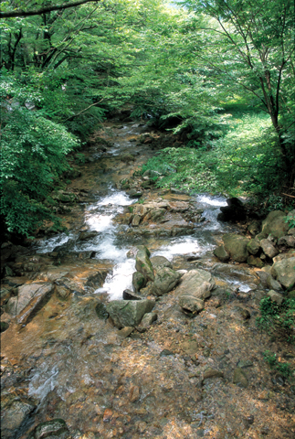 모악산_3.jpg