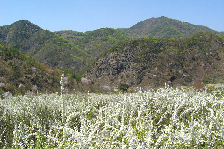 천태산_3.jpg