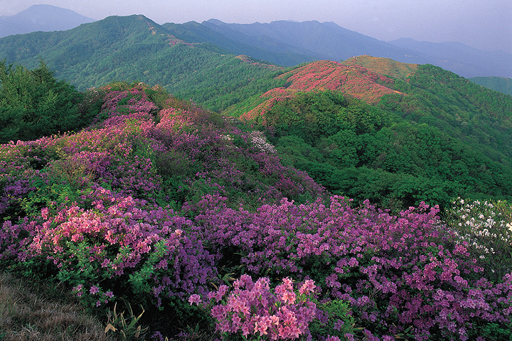지리산_1.jpg