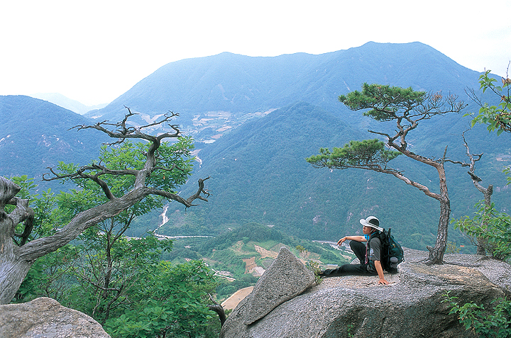 도락산_1.jpg