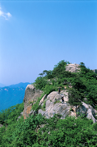 대야산_2.jpg