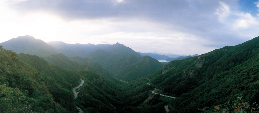 내장산_2.jpg