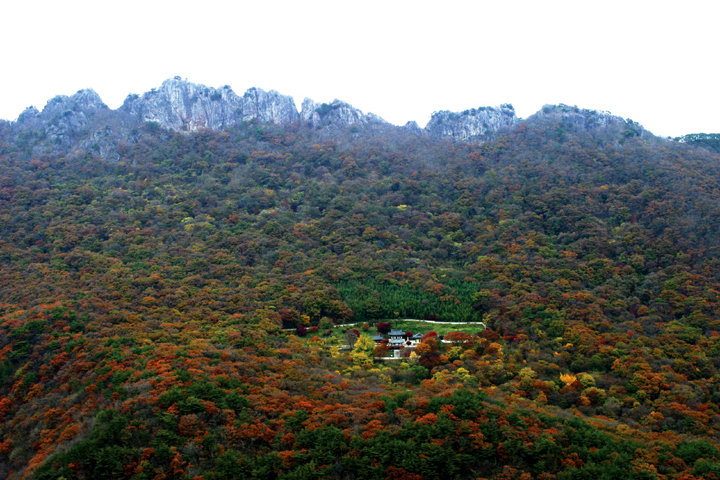 내장산_3.jpg
