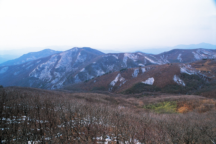 조계산_2.jpg