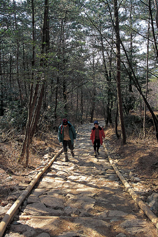 금산_3.jpg