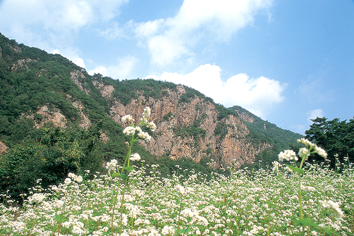 구병산_1.jpg