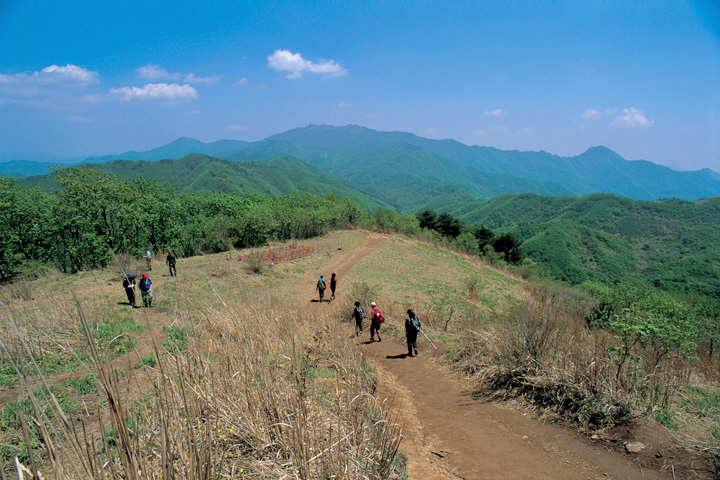유명산_1.jpg