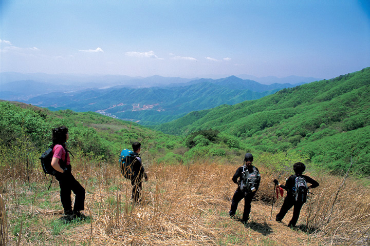 유명산_2.jpg