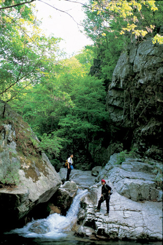 유명산_3.jpg