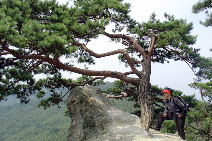 용화산_2.jpg
