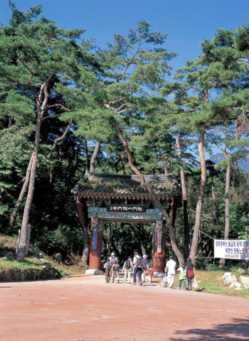 용문산_2.jpg