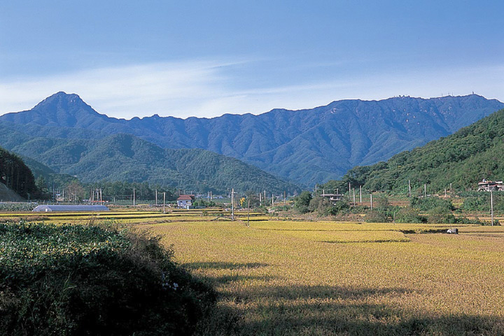 용문산_3.jpg
