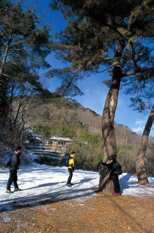 연화산_2.jpg