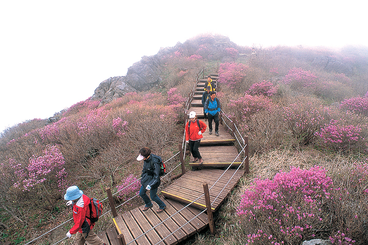 소백산_1.jpg