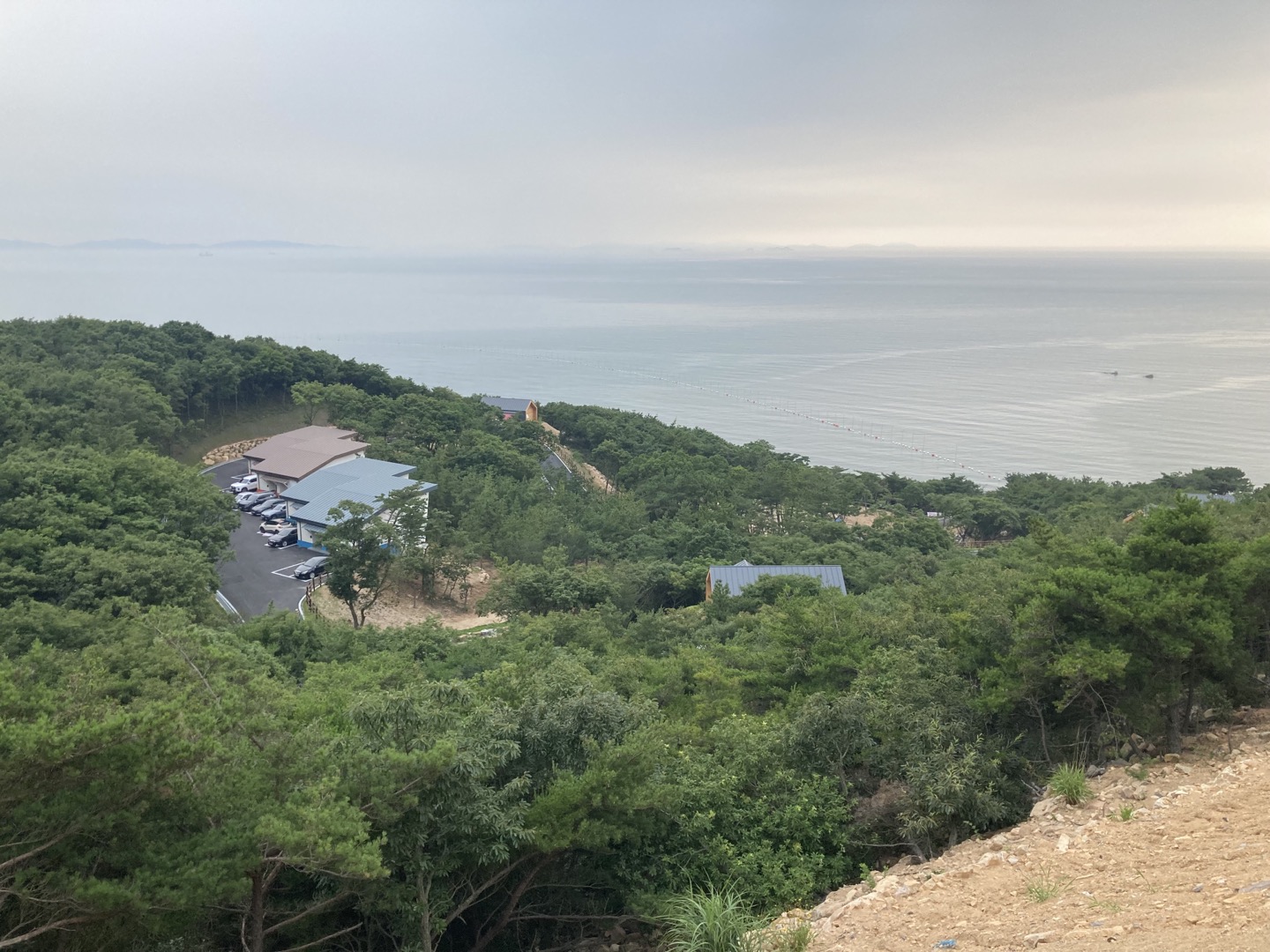 산림청 국립무의도자연휴양림 - |