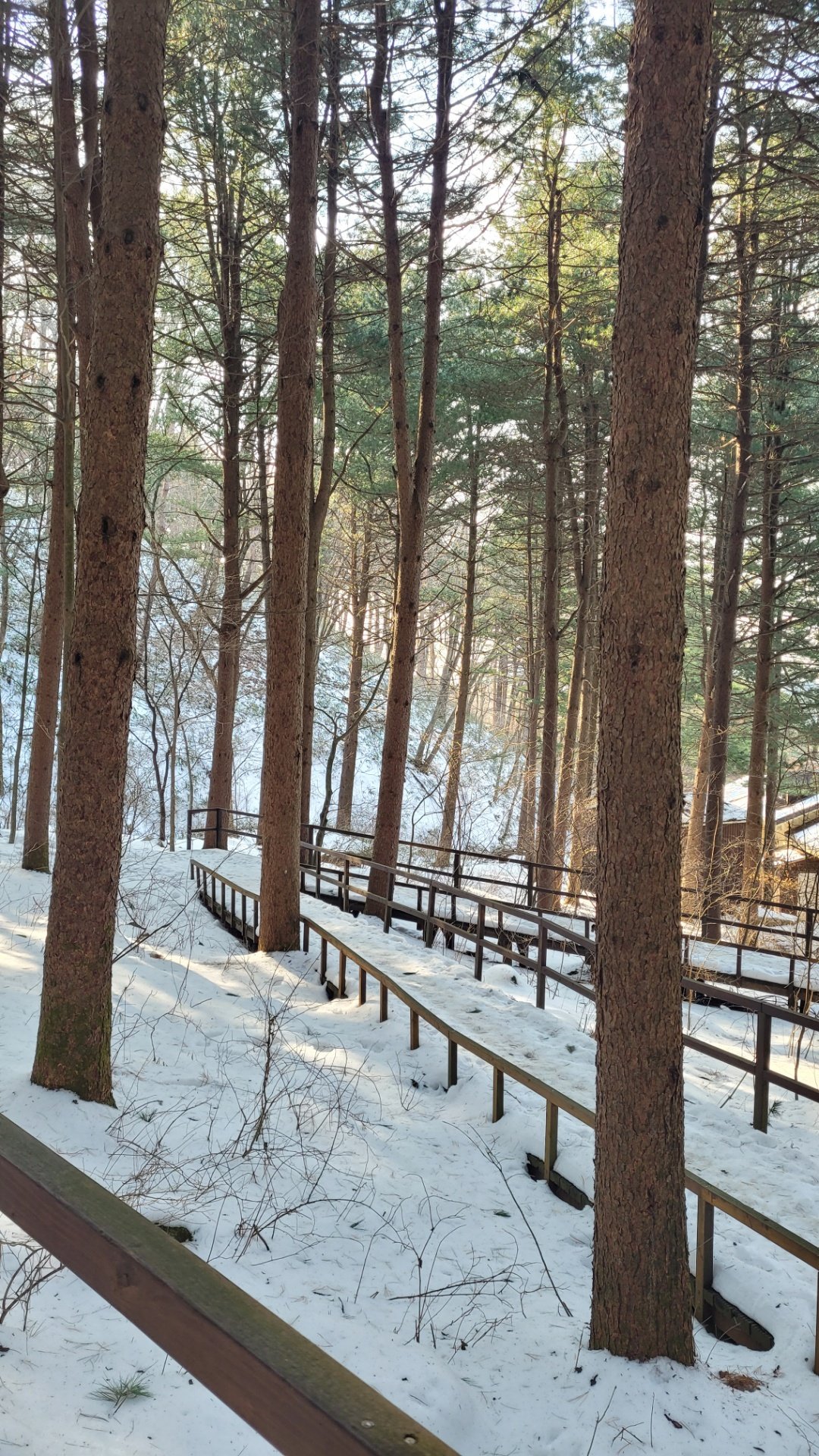 산림청 국립청태산자연휴양림 - |