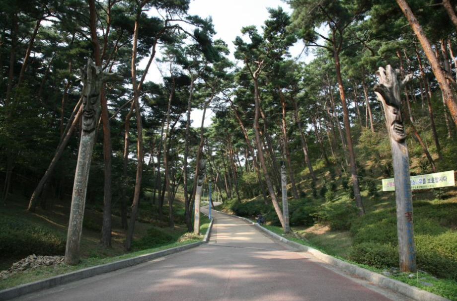 안면도자연휴양림