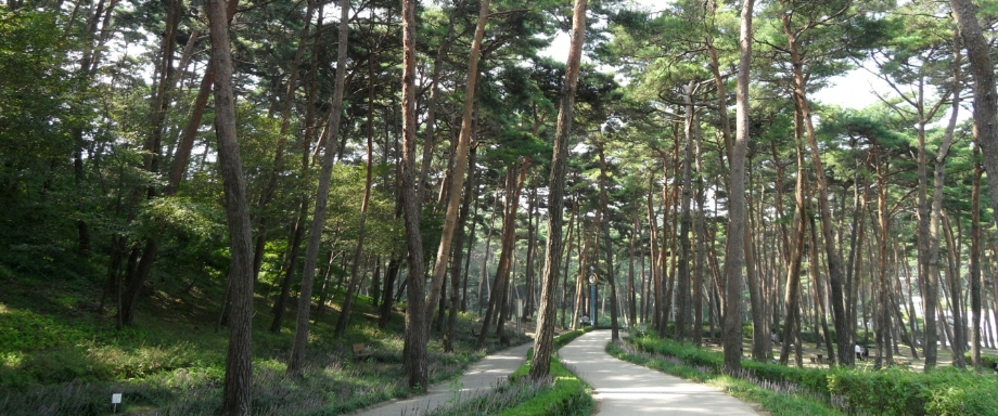 안면도수목원