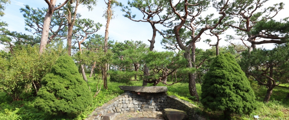 그림같은수목원