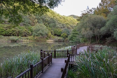 삼정생태공원
