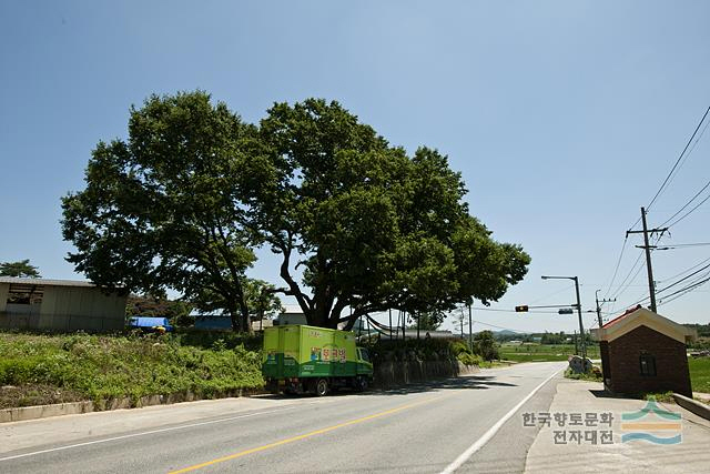 율목리마을