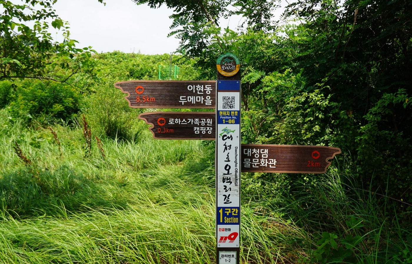 1구간(보문산 시루봉 ~ 금동고개)