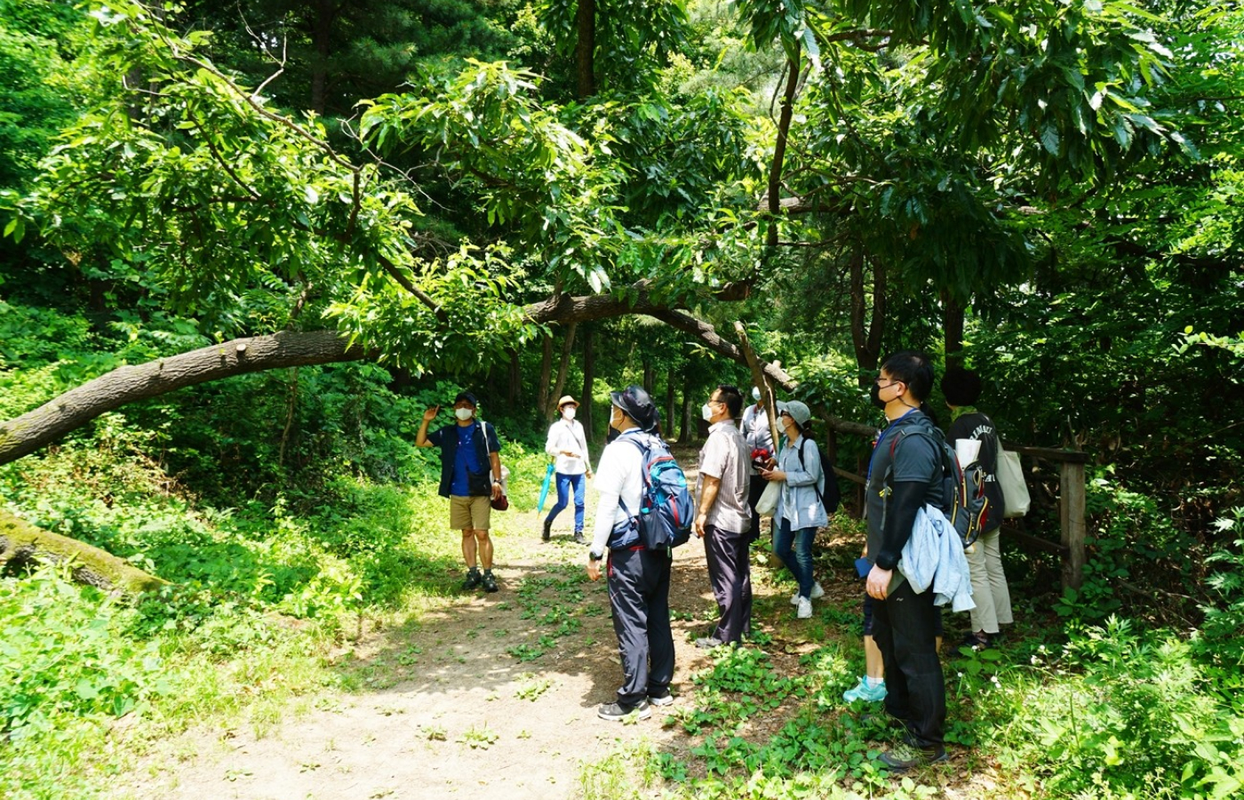 1구간(보문산 시루봉 ~ 금동고개)