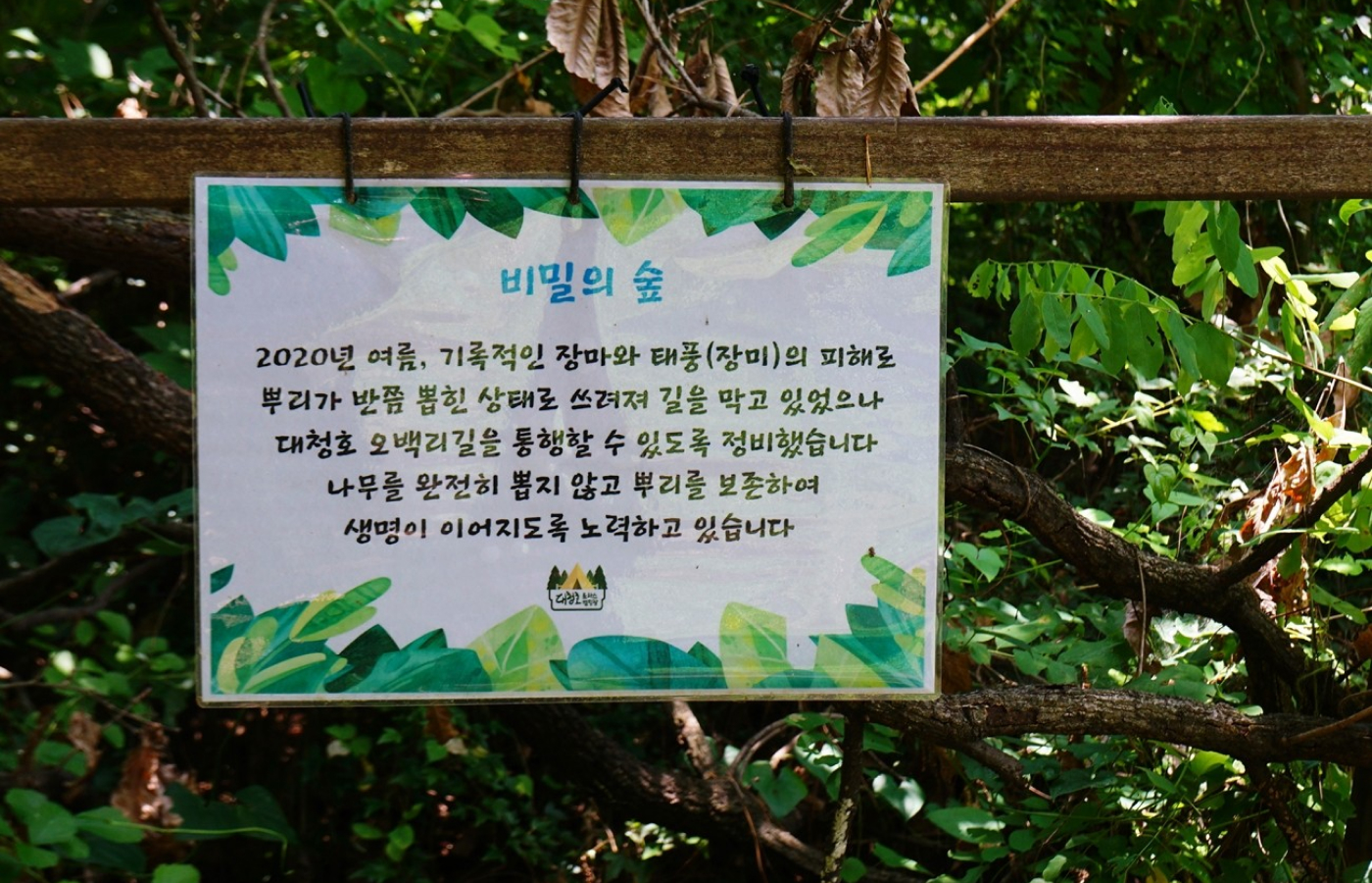 1구간(보문산 시루봉 ~ 금동고개)