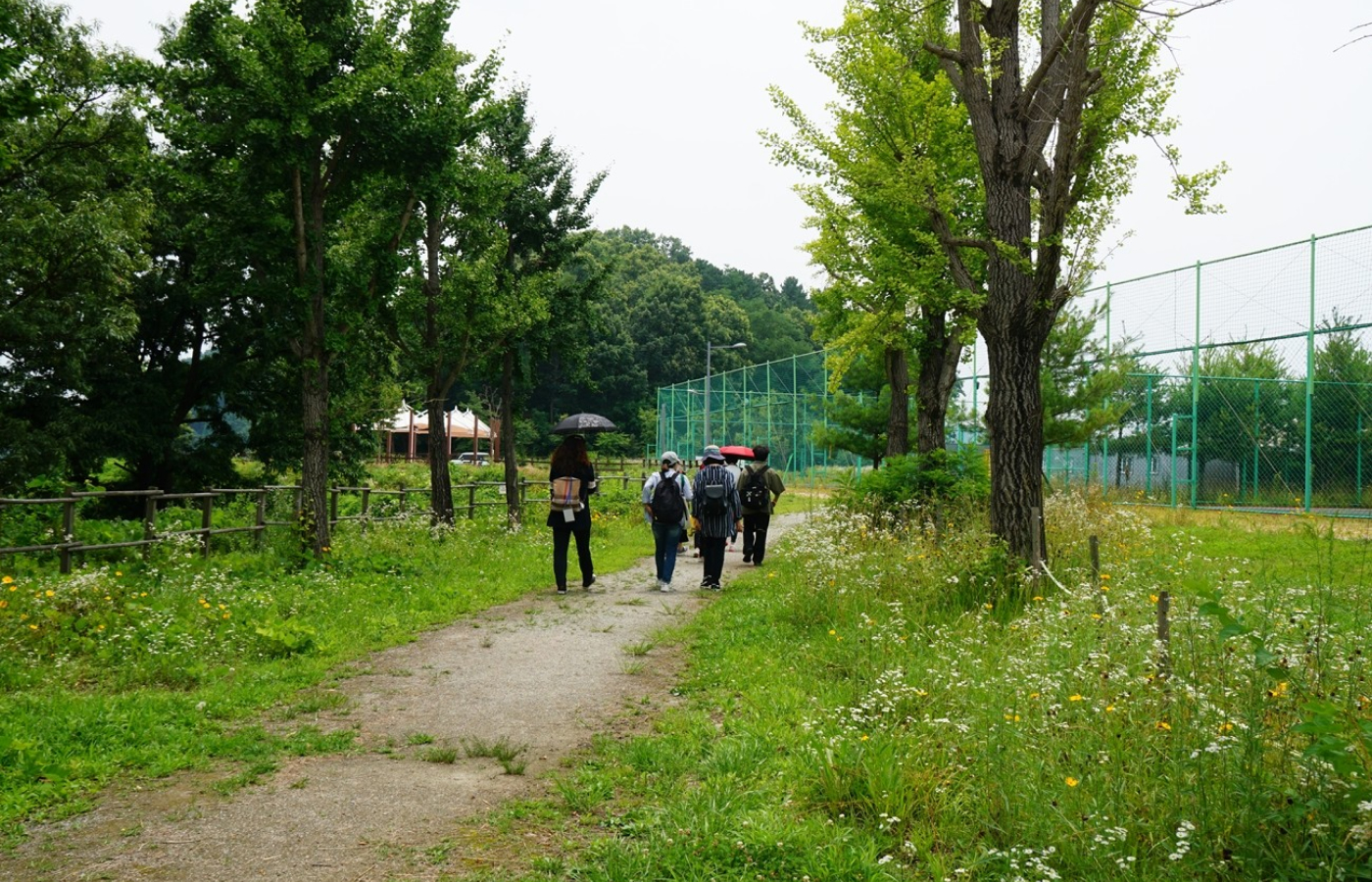 1구간(보문산 시루봉 ~ 금동고개)