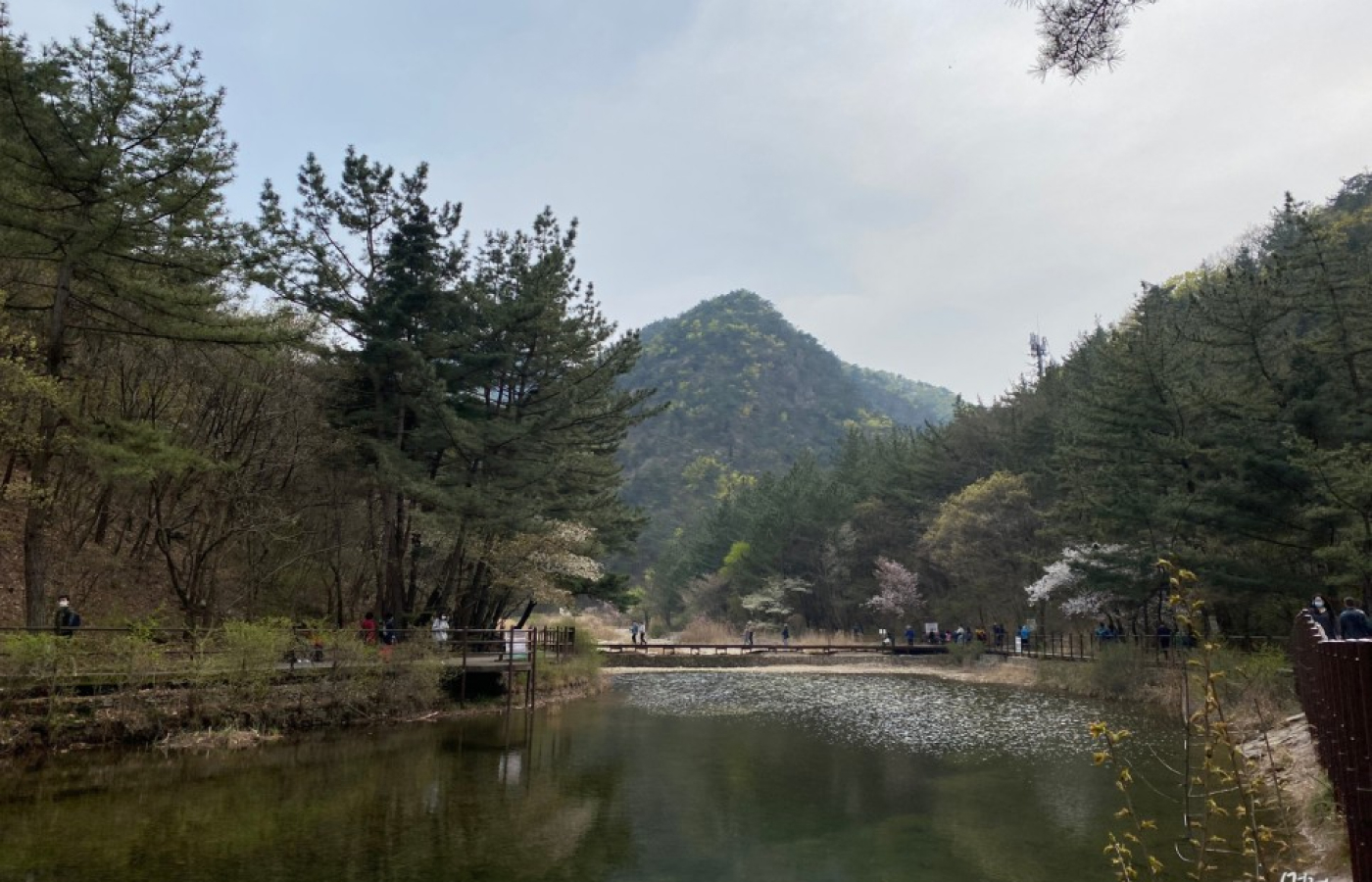 9구간 (수통골길)